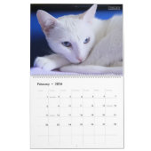 HAMbyWG - 2020 Prachtige Katten Kalender (Feb 2026)