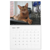 HAMbyWG - 2020 Prachtige Katten Kalender (Mar 2027)