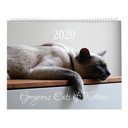 HAMbyWG - 2020 Prachtige Katten Kalender (Hoes)