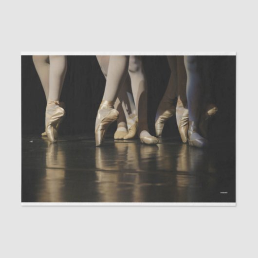 HAMbyWG - Ballerina-benen - Tissuepapier (Voorkant)