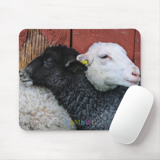 HAMbyWG - Black Sheep White Sheep Muismat (Met muis)
