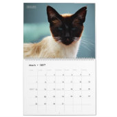HAMbyWG - Boheemse Katten Kalender (Mar 2027)