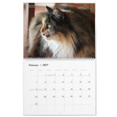 HAMbyWG - Bohemen - Katten Kalender (Feb 2027)