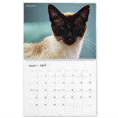 HAMbyWG - Bohemen - Katten Kalender (Mar 2027)