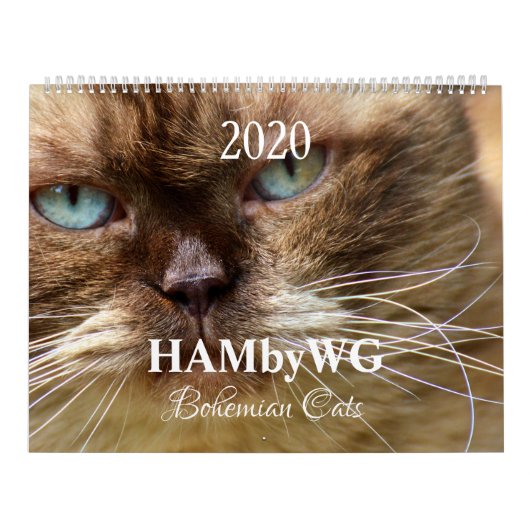 HAMbyWG - Bohemen - Katten Kalender (Hoes)
