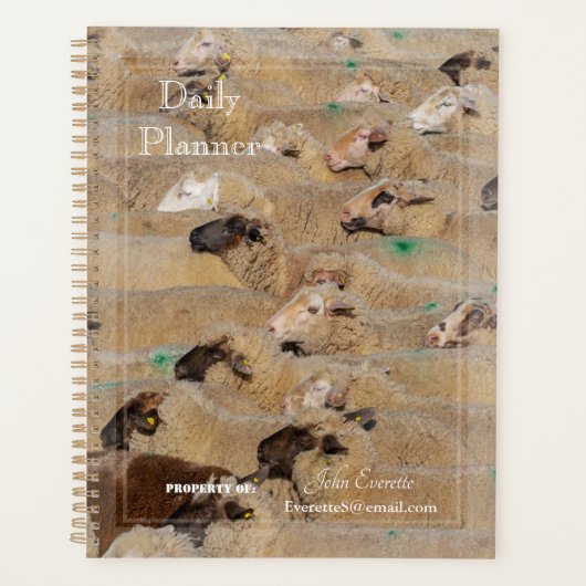 HAMbyWG - Dagelijkse Planner - Drukke Schapen (Voorkant)