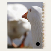 HAMbyWG - Dagelijkse planner - Eend volgt eend (Achterkant)