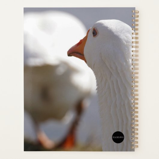 HAMbyWG - Dagelijkse planner - Eend volgt eend (Achterkant)