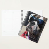 HAMbyWG - Dagelijkse planner - Hondenster (Display)