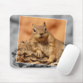 HAMbyWG - Famous Squirrel - Muismat (Met muis)