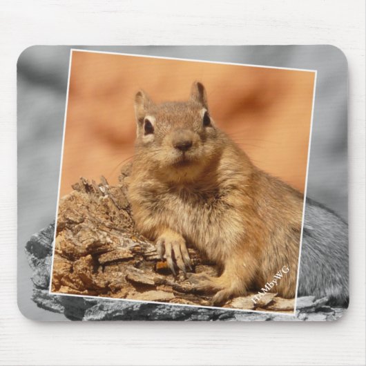 HAMbyWG - Famous Squirrel - Muismat (Voorkant)