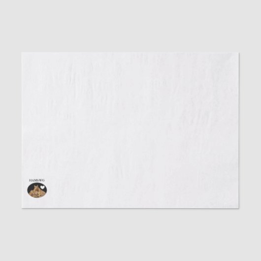 HAMbyWG - Gift Tissue - Squirrel Logo Tissuepapier (Voorkant)
