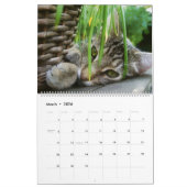 HAMbyWG Kat-Katten Agenda Kalender (Mar 2026)