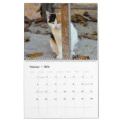 HAMbyWG Kat-Katten Agenda Kalender (Feb 2026)