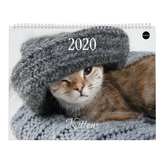 HAMbyWG Kitten Kalender (Hoes)