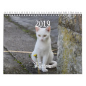 HAMbyWG Kitten Kalender (Hoes)
