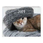 HAMbyWG Kitten Kalender (Hoes)