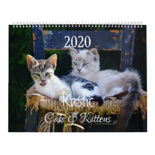 HAMbyWG- Landelijke Katten & Kitten Kalender
