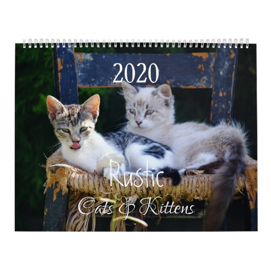 HAMbyWG- Landelijke Katten & Kitten Kalender (Hoes)