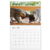 HAMbyWG - Meer kittens Kalender (Mar 2026)