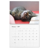 HAMbyWG - Meer Kittens Kalender (Feb 2027)