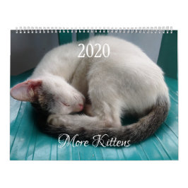 HAMbyWG - Meer kittens Kalender