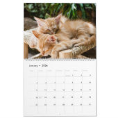 HAMbyWG - Meer kittens Kalender (Jan 2026)