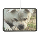 HAMbyWG - Modern 4 Shade Monogram Foto Luchtverfrisser (Voorkant)