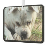 HAMbyWG - Modern 4 Shade Monogram Foto Luchtverfrisser (Links)