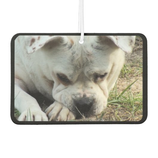 HAMbyWG - Modern 4 Shade Monogram Foto Luchtverfrisser (Voorkant)