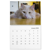 HAMbyWG Modern Cats Calendar Kalender (Jan 2026)