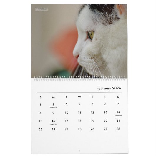 HAMbyWG Modern Cats Calendar Kalender (Feb 2026)