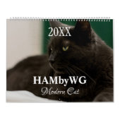 HAMbyWG Modern Cats Calendar Kalender (Hoes)