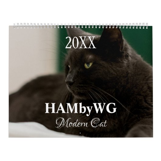 HAMbyWG Modern Cats Kalender (Hoes)