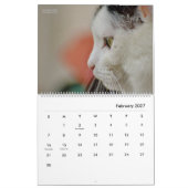 HAMbyWG Modern Cats Kalender (Feb 2027)