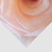 HAMbyWG - PerzikRoos Tissuepapier (Detail)