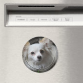 HAMbyWG Pet Magnet (Insitu (Vaatwasser))