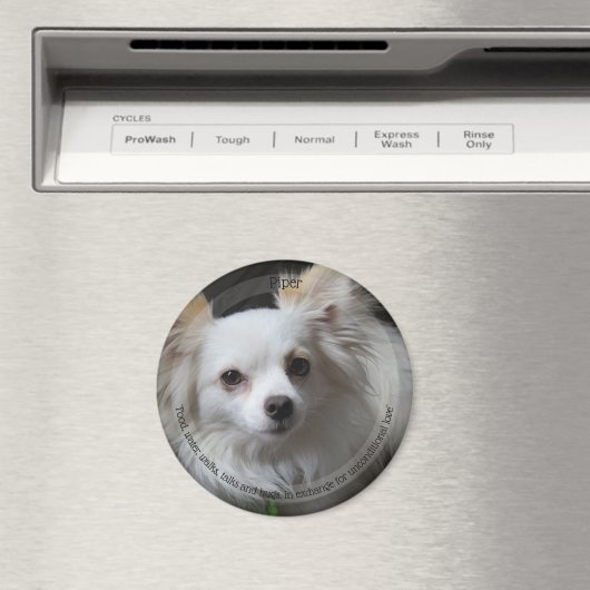 HAMbyWG Pet Magnet (Insitu (Vaatwasser))