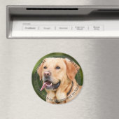 HAMbyWG Pet Magnet (Insitu (Vaatwasser))