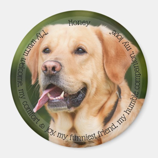 HAMbyWG Pet Magnet (Voorkant)