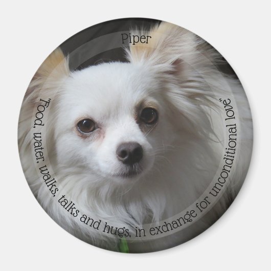 HAMbyWG Pet Magnet (Voorkant)