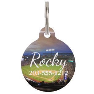 HAMbyWG - Pet Name Tag - Baseball Stadium Huisdierpenning
