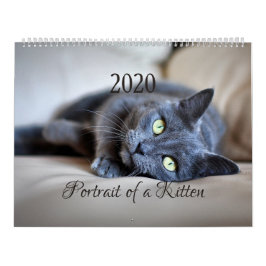 HAMbyWG- Portret van een Kitten Kalender