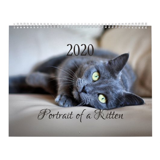 HAMbyWG- Portret van een Kitten Kalender (Hoes)