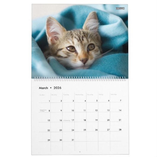 HAMbyWG- Portret van een Kitten Kalender (Mar 2026)