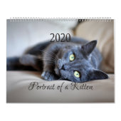 HAMbyWG- Portret van een Kitten Kalender (Hoes)