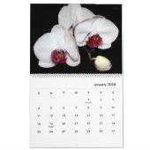 HAMbyWG - Prachtige bloemen Kalender (Jan 2026)