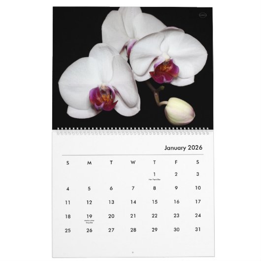 HAMbyWG - Prachtige bloemen Kalender (Jan 2026)