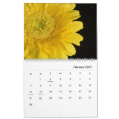 HAMbyWG - Prachtige Bloemen Kalender (Feb 2027)