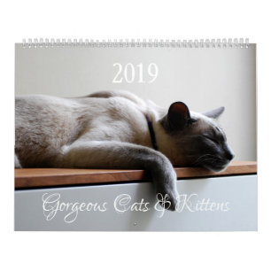 HAMbyWG - Prachtige katten Kalender
